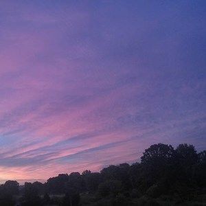 Meet your Posher, Jodi